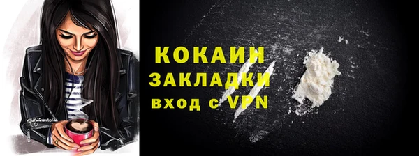 PSILOCYBIN Карталы