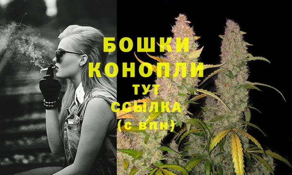 гидропоника Карпинск