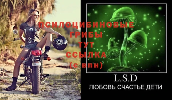 гидропоника Карпинск