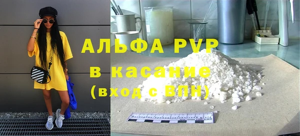 PSILOCYBIN Карталы
