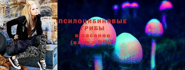 гидропоника Карпинск