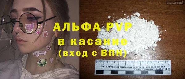 PSILOCYBIN Карталы