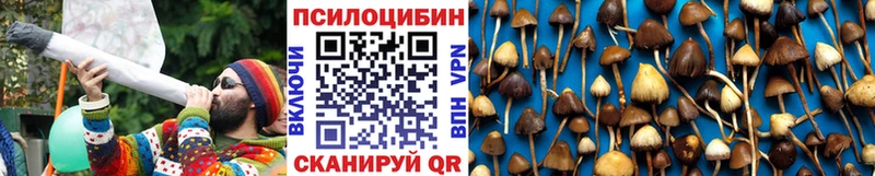 ОМГ ОМГ как зайти  Каспийск  Псилоцибиновые грибы Psilocybine cubensis 
