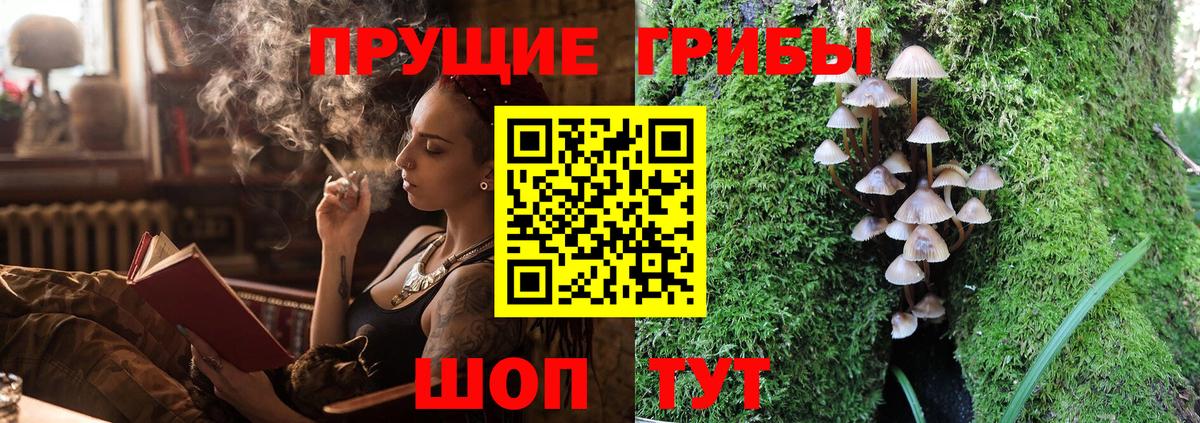 Псилоцибиновые грибы GOLDEN TEACHER Каспийск