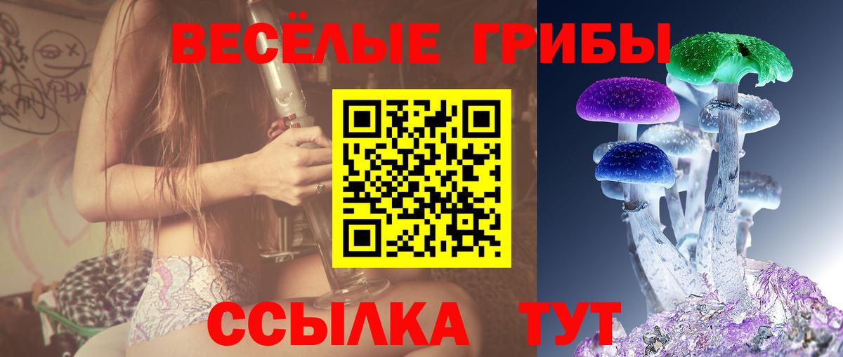 Псилоцибиновые грибы мицелий Каспийск